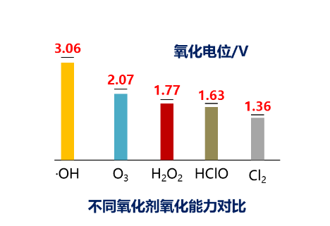 臭氧催化氧化廢（fèi）水深度處理裝置（zhì）