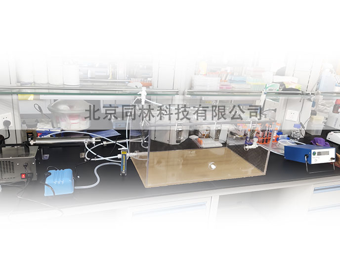 臭氧實驗箱裝置（小鼠暴露實（shí）驗、動物細胞（bāo）實驗）